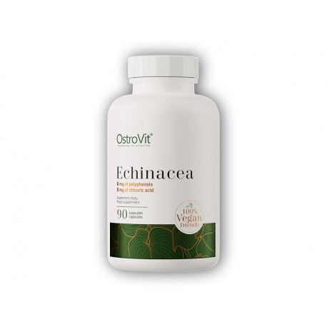 Ekstrakt z warzyw Echinacea 90 kapsułek