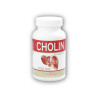 Cholina 100 kapsułek