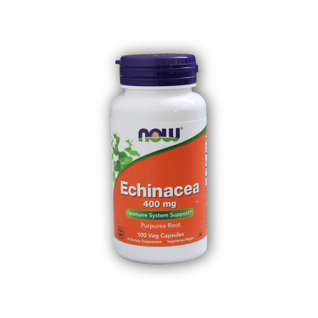 Echinacea 400 mg 100 kapsułek roślinnych